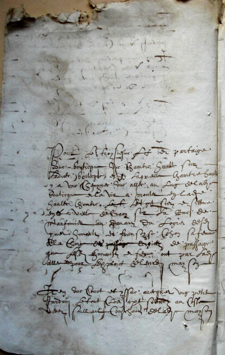 Cohon-G_1615 (8).JPG